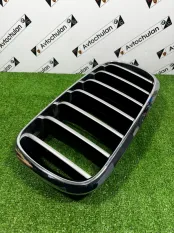 Решетка в бампер передняя левая BMW X6 F16