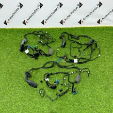 Проводка двери передняя правая BMW X5 G05 2021