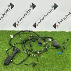 Проводка двери передняя правая BMW X4 G02 2023