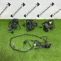 Проводка двери задняя правая BMW X4 G02 2023