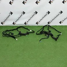 Проводка двери задняя BMW 4-Series G26 2023