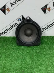 Динамик BMW X6 G06 2023