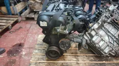 Двигатель Ford 1806559 1.6 И HXDB