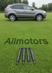 Форсунка топливная SsangYong Actyon New 2010 A6710170121 D20DTF