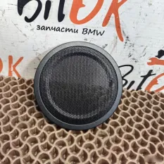 Сетка динамика в двери BMW 2