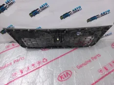 Решетка радиатора Kia Sorento 2