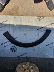 Молдинг крыла Renault Sandero Stepway