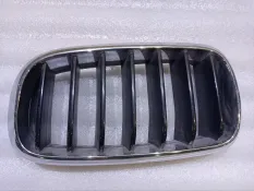 Решетка радиатора BMW X5