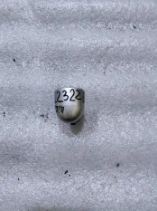 Заглушка ручки замка двери RENAULT Fluence