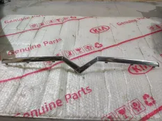 Молдинг бампера Citroen C4