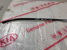 Молдинг двери Mercedes GIS