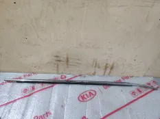 Молдинг двери Toyota Camry