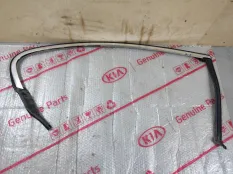 Молдинг двери BMW 5