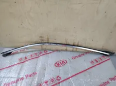 Молдинг двери BMW 5