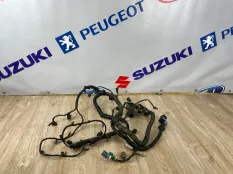 Проводка двигателя FORD FOCUS 3 ХЭЧБЭК IQDB 2011