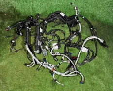 Коса проводки ДВС LM2 (бе 134252