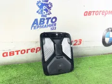Плафон салона BMW 330e 2021 61317910956 G20 B48B20A
