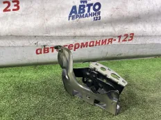 Петля капота Mercedes E350e 2018 2138800228 W213 274.920, правая