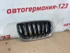 Решетка радиатора BMW X3 2006 51133402910 E83 M47N2, правая