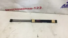 Амортизатор багажника BMW X1 2012 51242990136 E84, задний