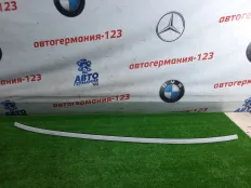 Молдинг крыши BMW 320 2012 51137312618 F30, правый