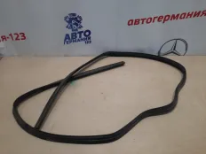 Уплотнитель Mercedes E350 2005 A2116280398 W211 272.964