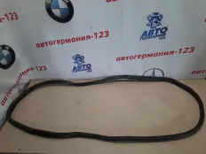 Уплотнение двери MINI Countryman 2011 51359808655 R60 N16B16A, заднее правое