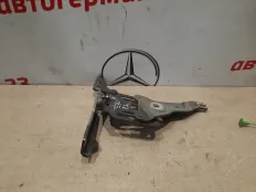 Петля капота BMW X5 2007 41007198617 E70 N52B30AF, левая