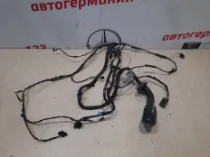Проводка двери BMW 530 2009 61129229986 F07 N55B30A, передняя левая