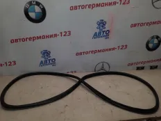 Уплотнитель двери BMW X3 2008 51723449349 E83 N52B25A, задний правый