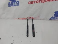 Амортизатор капота BMW 116 2012 51237239233 F20 N13B16