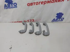 Ручка потолка BMW 116 2012 51167495617 F20 N13B16