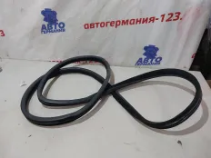 Уплотнитель двери Mercedes ML350 2006 A1646900398 W164 272.967, задний