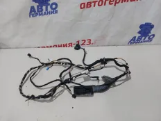 Проводка двери BMW 116 2012 61129251710 F20 N13B16, передняя правая
