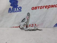 Петля капота BMW X3 2008 41613452844 E83 N52B25A, передняя левая