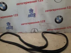 Уплотнитель двери BMW X5 2011 51767333813 E70 N57D30A, передний правый