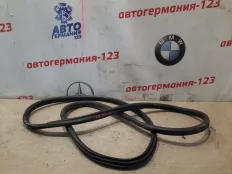Уплотнитель двери BMW X5 2011 51767333814 E70 N57D30A, задний