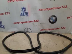 Уплотнитель двери BMW X5 2011 51767333814 E70 N57D30A, задний