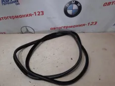 Уплотнитель BMW X6 2008 51727333807 E71 M57D30, передний