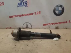 Амортизатор BMW X6 2008 33526783017 E71 M57D30, задний