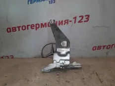 Петля капота BMW X6 2008 41007198617 E71 M57D30, левая