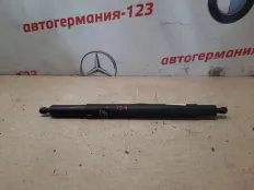 Амортизатор крышки багажника BMW X6 2008 51247201939 E71 M57D30, левый