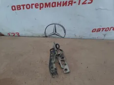 Петля капота BMW X5 2005 41617006123 E53 M54B30, левая