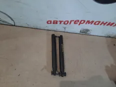 Амортизатор багажника BMW X5 2005 51248402195 E53 M54B30