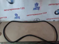 Уплотнитель багажника MINI Countryman 2011 51769806024 R60 N18B16A