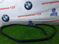 Уплотнитель двери BMW X1 2011 51722993436 E84 N46B20BD, задний