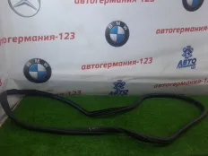 Уплотнитель двери MINI Countryman 2011 51339808654 R60 N18B16A, передний