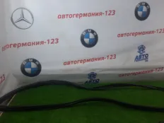 Уплотнитель двери MINI Countryman 2011 51339808654 R60 N18B16A, передний