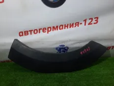 Накладка двери MINI Countryman 2011 51779800770 R60 N18B16A, задняя правая