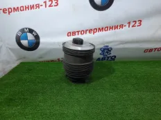 Пневмобаллон Mercedes C220 2015 A2053200125 W205 651.921, задний левый